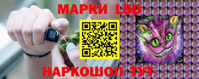 Альфа ПВП Ставрополь