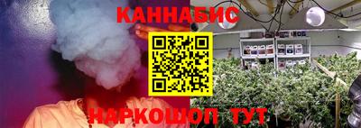 Альфа ПВП Ставрополь