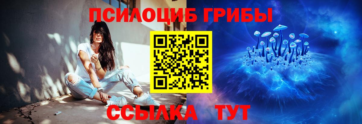 Псилоцибиновые грибы мицелий Мирный